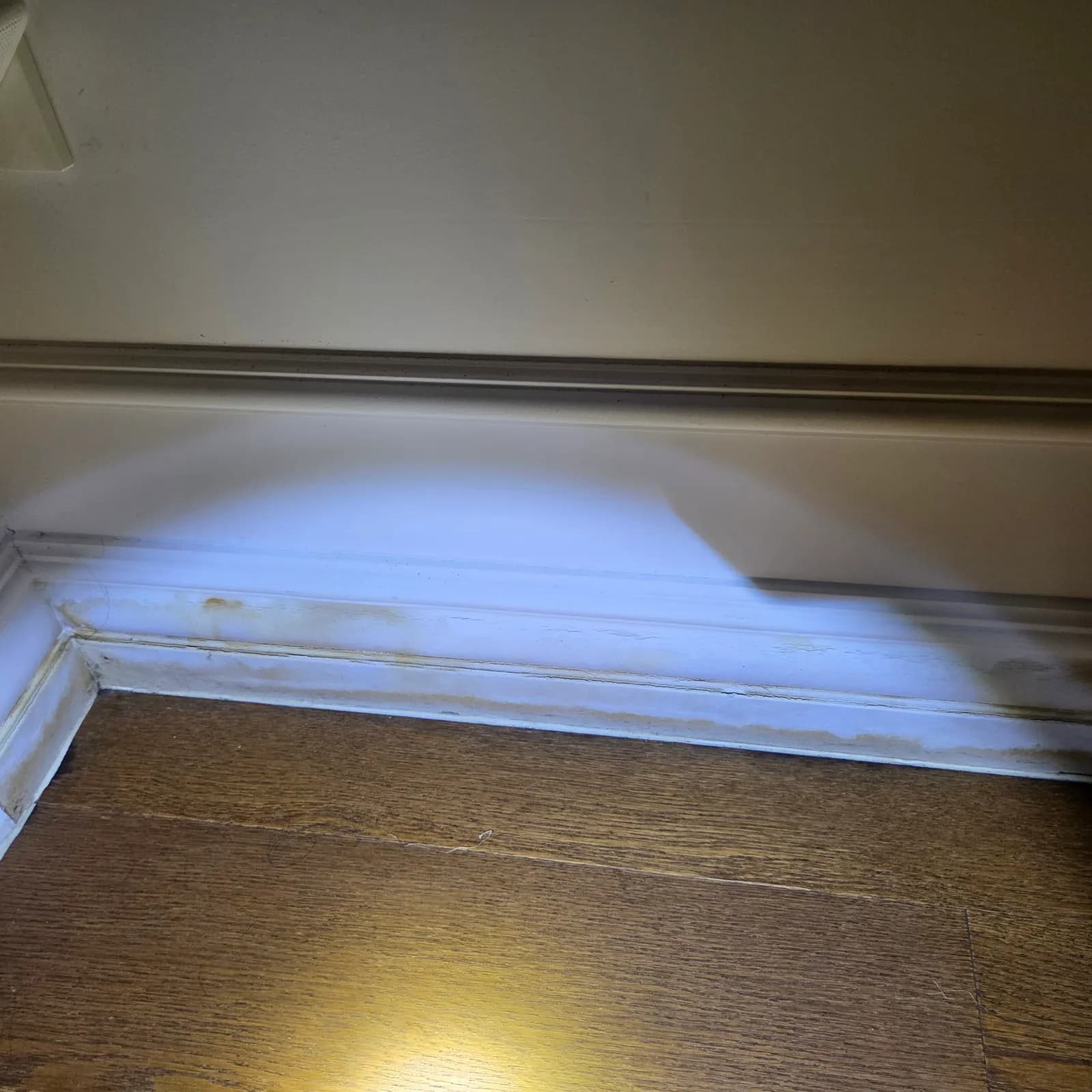 안산시 상록구 본오동 온수배관 누수 보수 범위 안내 참고 사진